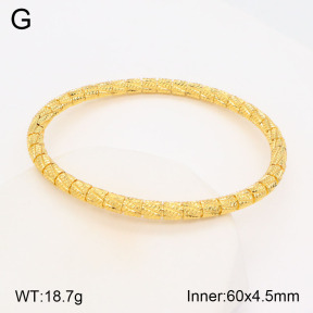 2BA201765vbpb-377  Stainless Steel Bangle