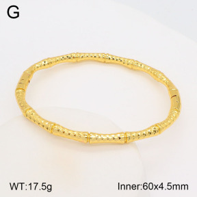 2BA201766bhva-377  Stainless Steel Bangle