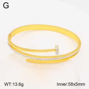2BA402059vhha-377  Stainless Steel Bangle