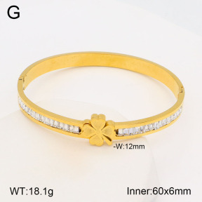 2BA402064bhia-377  Stainless Steel Bangle