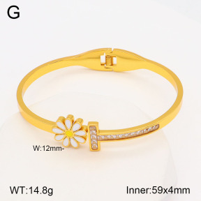 2BA402065bhia-377  Stainless Steel Bangle