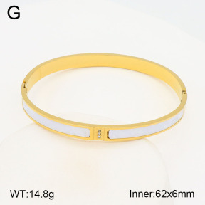 2BA402069vbpb-377  Stainless Steel Bangle