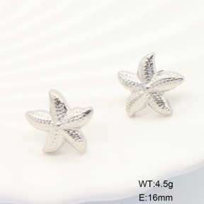 6E2006892baka-G029  Stainless Steel Earrings