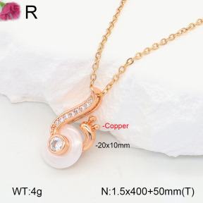 F2N401061bhia-J31  Fashion Copper Necklace
