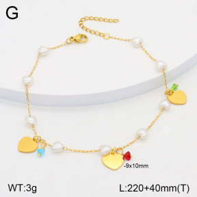 2A9001505vbmb-610  Stainless Steel Anklets