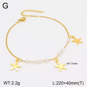 2A9001507vbmb-610  Stainless Steel Anklets