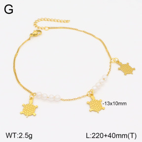 2A9001508vbmb-610  Stainless Steel Anklets