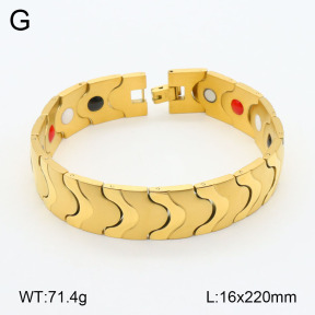 2B2003471aivb-661  Stainless Steel Bracelet