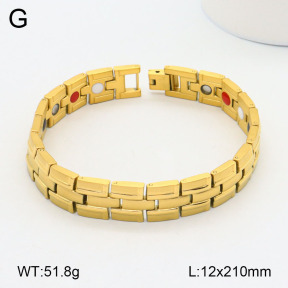 2B2003475aivb-661  Stainless Steel Bracelet