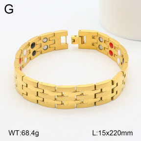 2B2003477aivb-661  Stainless Steel Bracelet