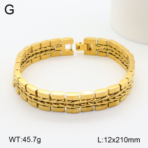 2B2003486biib-661  Stainless Steel Bracelet