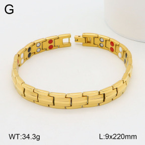 2B2003493aivb-661  Stainless Steel Bracelet