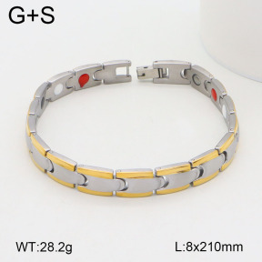 2B2003495vhov-661  Stainless Steel Bracelet