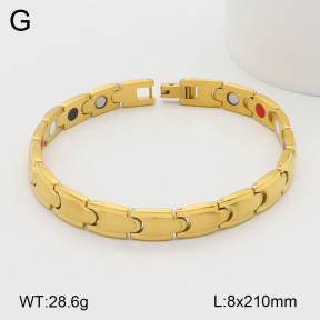 2B2003496vhov-661  Stainless Steel Bracelet