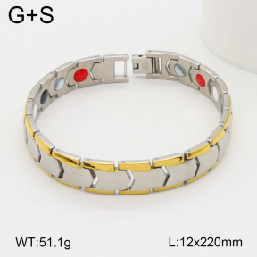 2B2003498vhov-661  Stainless Steel Bracelet