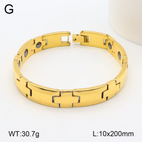 2B2003516aiov-661  Stainless Steel Bracelet