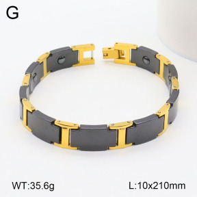 2B2003517ajvb-661  Stainless Steel Bracelet