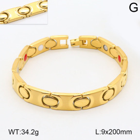 2B2003519ahpv-661  Stainless Steel Bracelet
