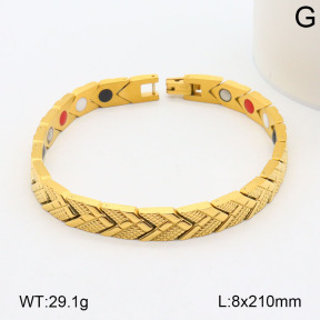 2B2003520vhov-661  Stainless Steel Bracelet