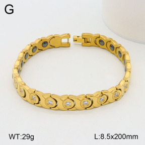 2B4004395aija-661  Stainless Steel Bracelet