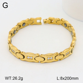 2B4004396vihb-661  Stainless Steel Bracelet
