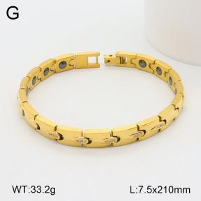 2B4004398vihb-661  Stainless Steel Bracelet
