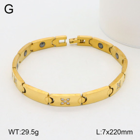 2B4004399aija-661  Stainless Steel Bracelet