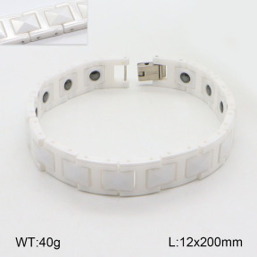 2B9000112ajvb-661  Stainless Steel Bracelet