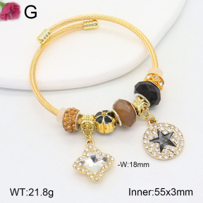 F2BA40829bhva-J39  Fashion Bangle