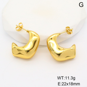 CL6E00242-900  Closeout( No Discount)  Stainless Steel Earrings