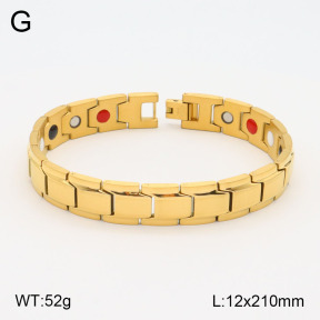 2B2003528ahpv-661  Stainless Steel Bracelet