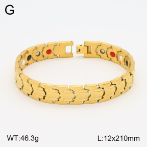 2B2003531ahpv-661  Stainless Steel Bracelet