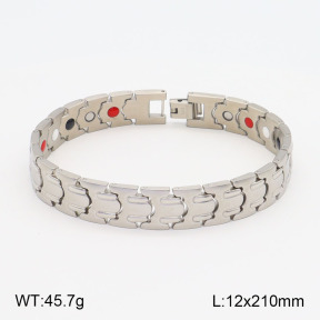 2B2003532vhnv-661  Stainless Steel Bracelet