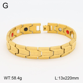 2B2003538ahpv-661  Stainless Steel Bracelet