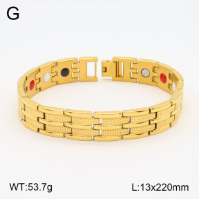 2B2003539ahpv-661  Stainless Steel Bracelet