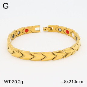 2B2003549vhov-661  Stainless Steel Bracelet