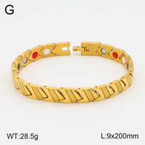 2B2003550ahpv-661  Stainless Steel Bracelet