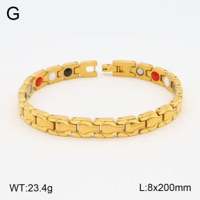2B2003551vhov-661  Stainless Steel Bracelet