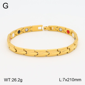 2B2003553vhov-661  Stainless Steel Bracelet