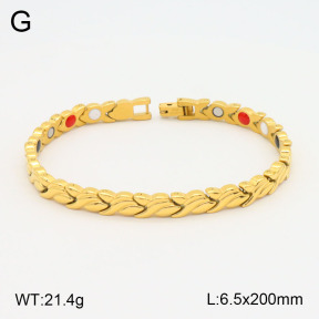 2B2003556vhov-661  Stainless Steel Bracelet