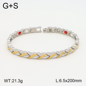 2B2003557vhov-661  Stainless Steel Bracelet
