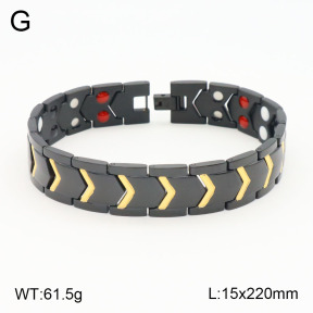 2B2003564biib-661  Stainless Steel Bracelet