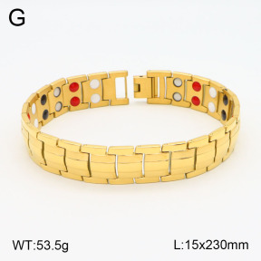 2B2003569aivb-661  Stainless Steel Bracelet