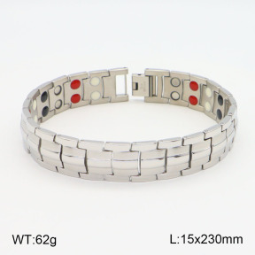 2B2003570vhov-661  Stainless Steel Bracelet