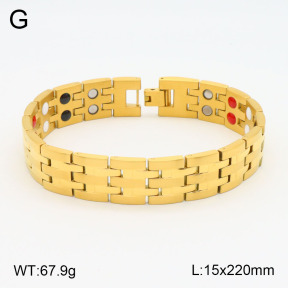2B2003572aivb-661  Stainless Steel Bracelet