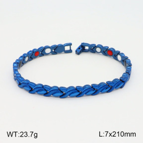 2B2003577vhov-661  Stainless Steel Bracelet