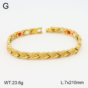 2B2003578vhov-661  Stainless Steel Bracelet