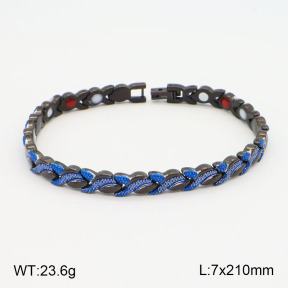 2B2003580vihb-661  Stainless Steel Bracelet