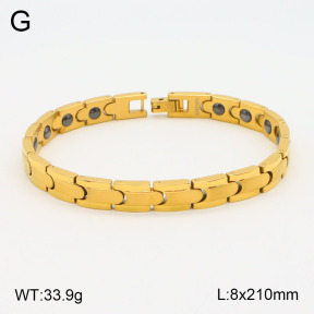 2B2003583vhov-661  Stainless Steel Bracelet