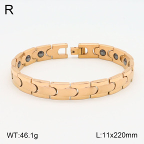 2B2003587vhov-661  Stainless Steel Bracelet